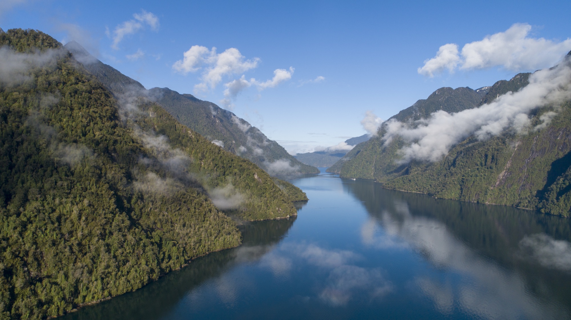 Vista aérea del Fiordo Quintupeu rodeado de bosque patagónico